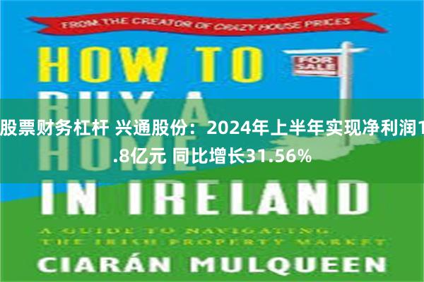 股票财务杠杆 兴通股份：2024年上半年实现净利润1.8亿元 同比增长31.56%