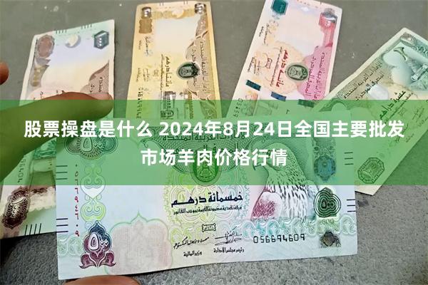 股票操盘是什么 2024年8月24日全国主要批发市场羊肉价格行情